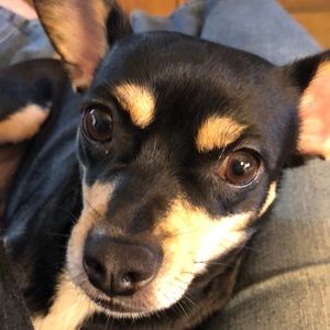 Meet your Posher, Kathi